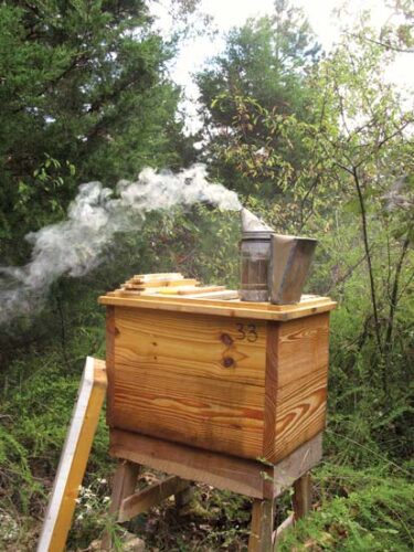 Beekeeping with Horizontal Hives for Less Stress